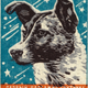 Illustration for article titled Vintage Memorabilia Celebrates The Soviet Unions Cosmonaut Dogs